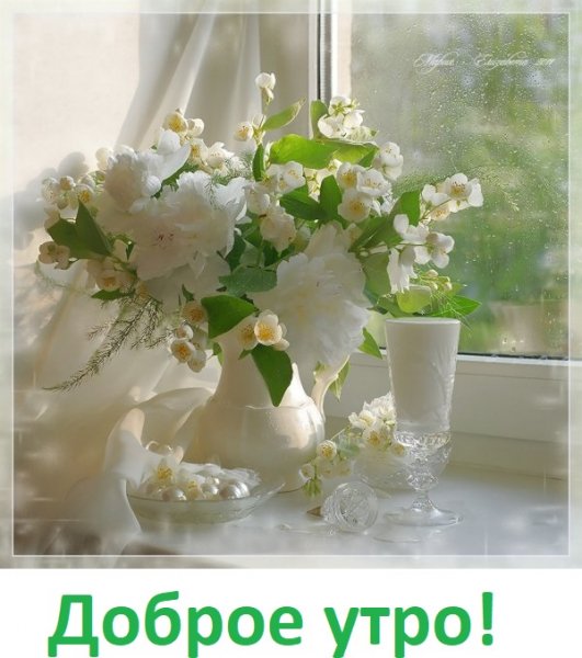 Доброе утро!