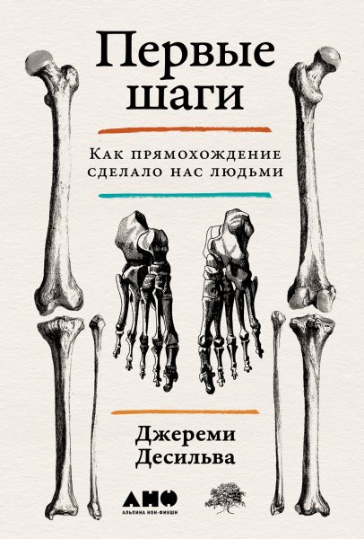 Десильва. Первые шаги