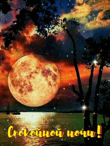 Анимированная открытка спокойной ночи (24)