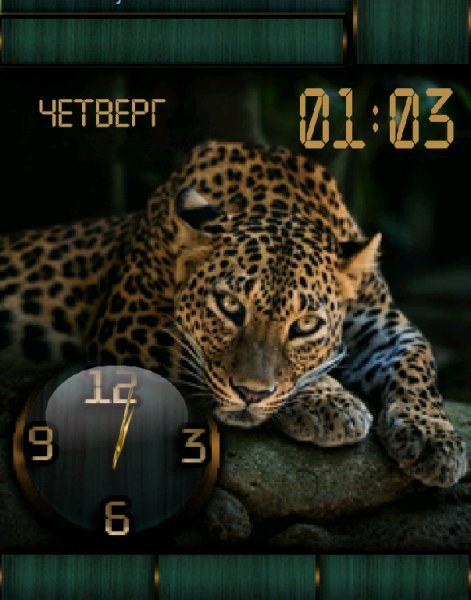 Леопард