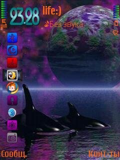 orcasdream 577932