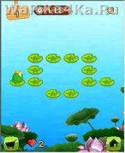 Mini Mint Frog