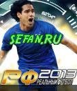 Real Football 2013 128 5e4a32