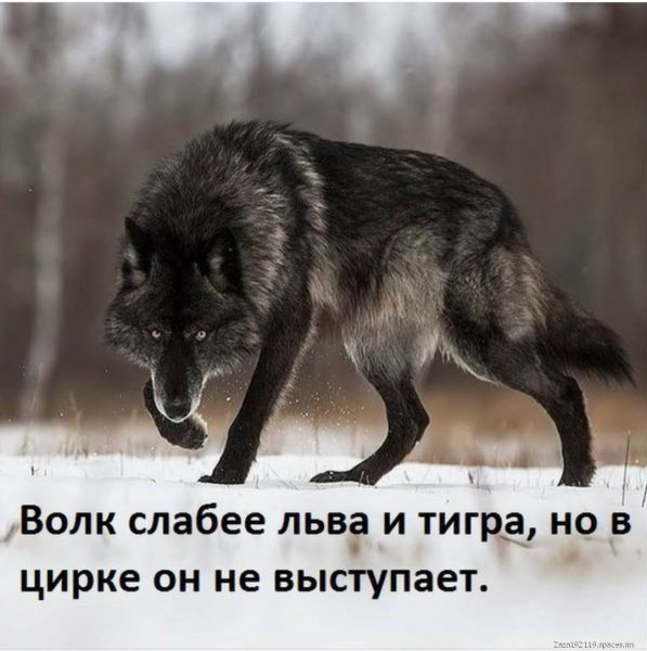 2-12-09-21-41-18-932-