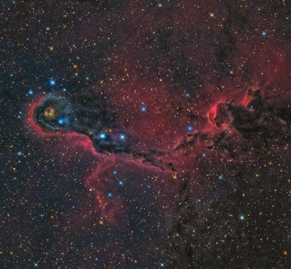 СЛОНОВИЙ ХОБОТ