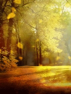 Сентябрь (here again)