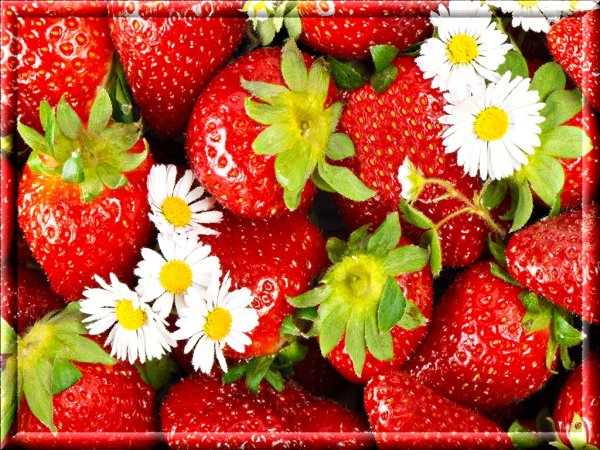 S-Dnem-rozhdeniya-10