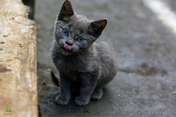 5I7yKtH7cCRxCpyi7h3PjTaj4vqmNlY5i4BnFdXQh7aFYp2goVpd3gXHgH1F