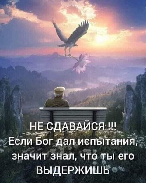 file_91914269