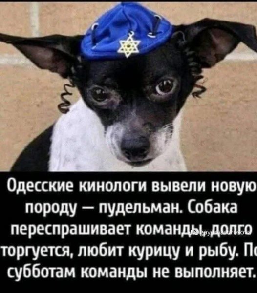 FB IMG 1776176282690