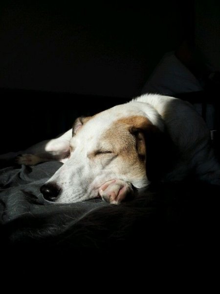 JMULYZ4SMXO5CF3S2GFC