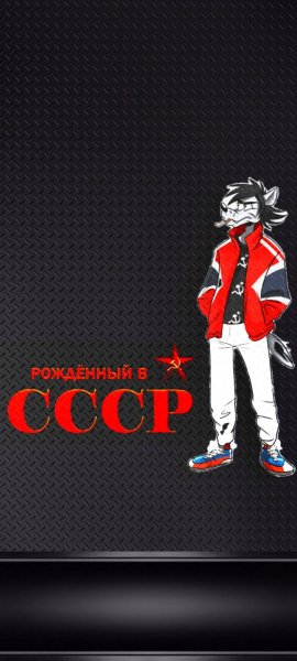 СССР