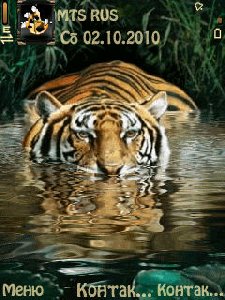 tigr