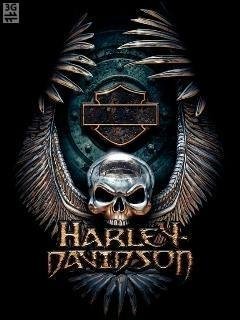 Skull harley davidson