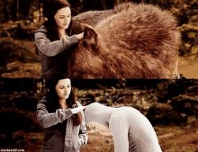 Twilight-kristen-stewart