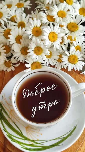 7a8babcbc7166c15657905c621b9eb65