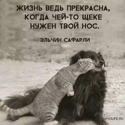 9d8c43b217273f6aea0faa69cdbfb2d2