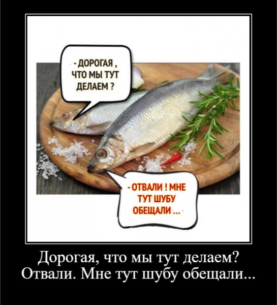 Мне тут шубу обещали...