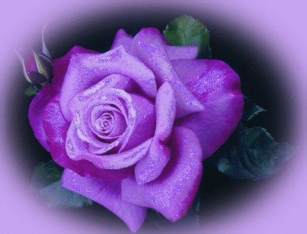 0 26f6a6 68d77f86 orig