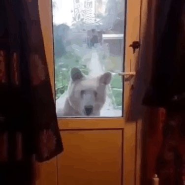 а Маша выйдет гулять