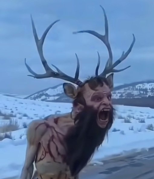 Чудо рогатое