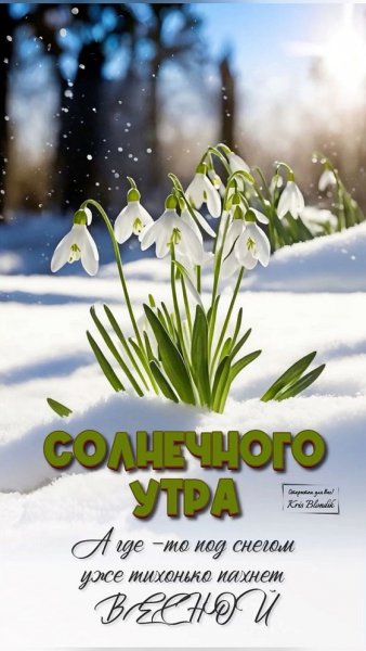 СОЛНЕЧНОГО УТРА! ..