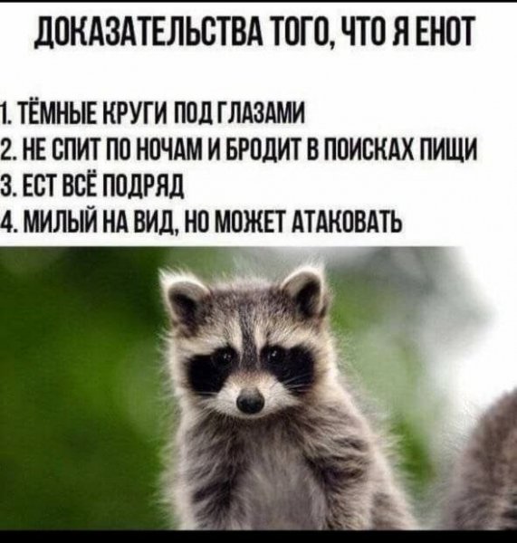 IMG 20260519 234206 512