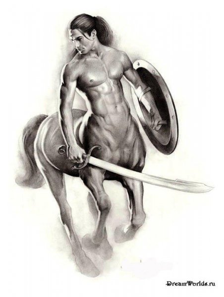 Поскакали...