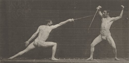 Vintage fencing