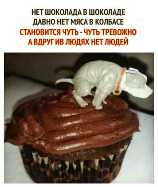 FB IMG 1777724276744