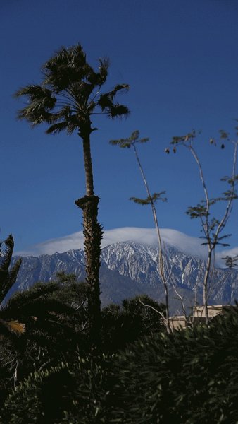 tumblr ovx8a6QG7d1v2h7ago1 1280