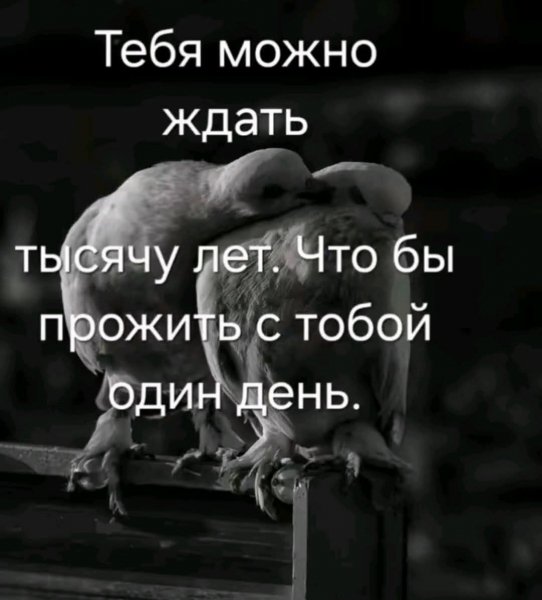 FB IMG 1775592572396
