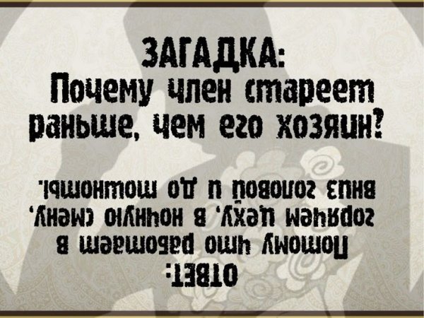 B20960440a0b23ca3a7ca78e5af3015b