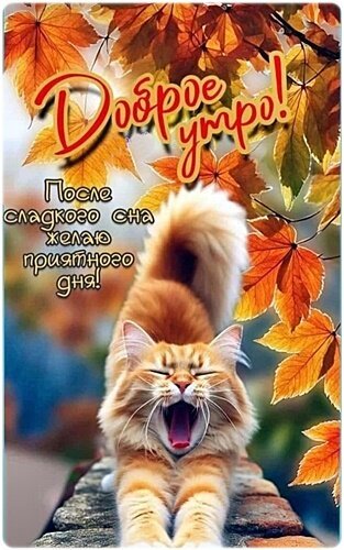 Открытка доброе утро (1)