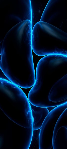 adapted 1080x2408 1776244751