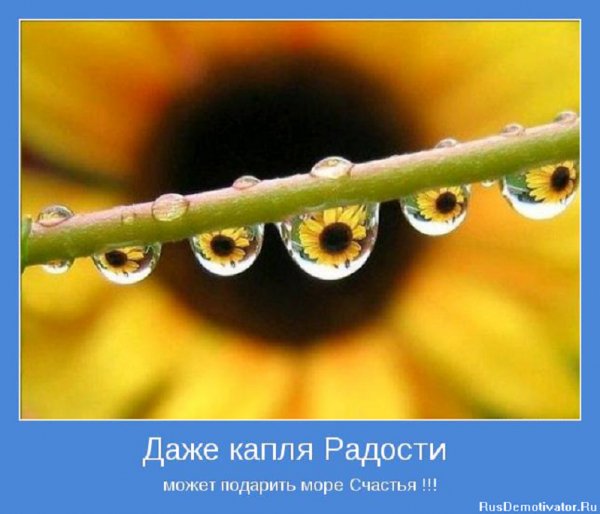 Даже капля радости...