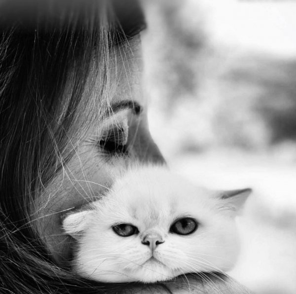 FB IMG 1773949867958