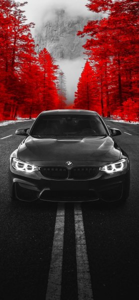 78sjgtdK46QR8ICwYSKp