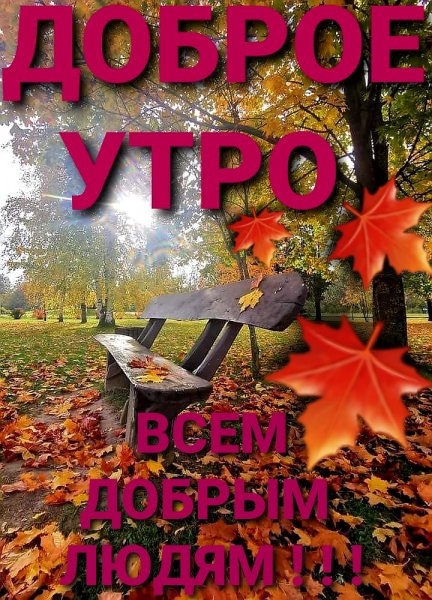 file_88566933