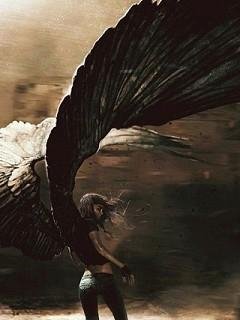 Black Angels