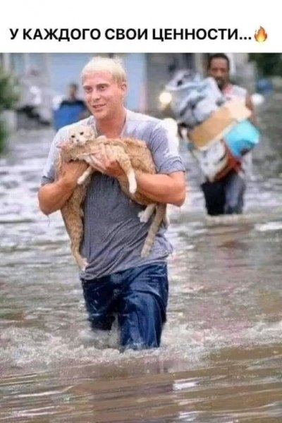 76a0d2894ba477f6505f712aefe405c1