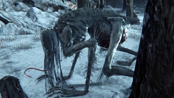 Кровопийца