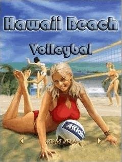 (Rus) Hawaii Beach Volleyball 176x208
