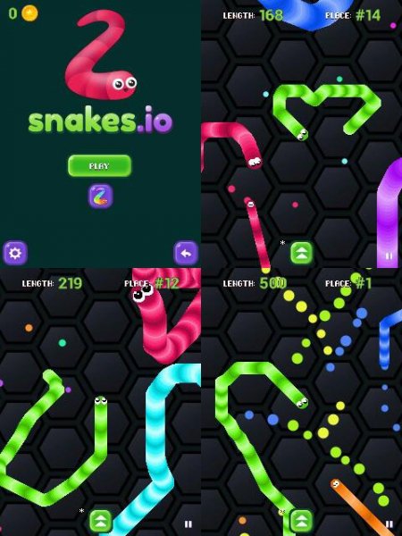 Snakes io-2 240x320 n73