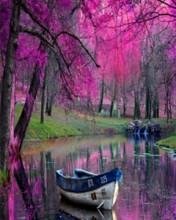 Очень красивая природа 1