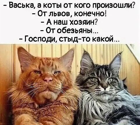 IMG 20260408 225319