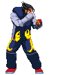 doublechamberpunch2