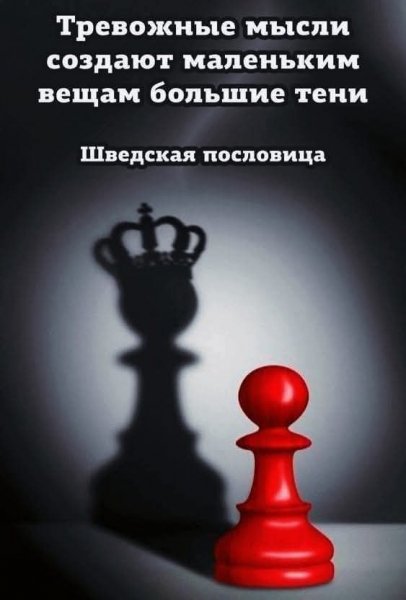 FB IMG 1775124698652