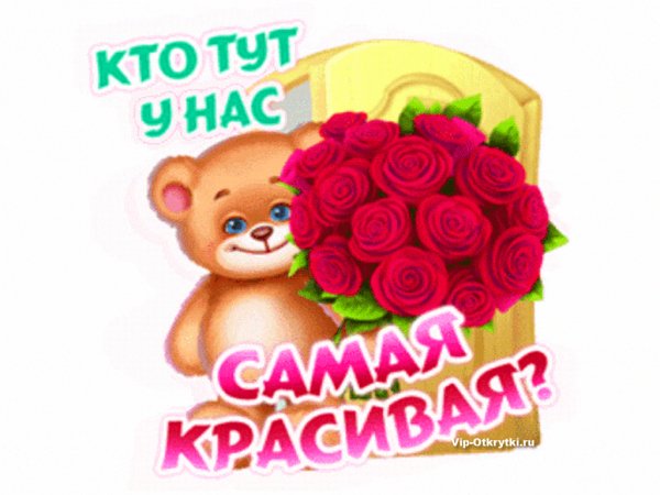 D411fcd7c382eac25d80e6fa10409966