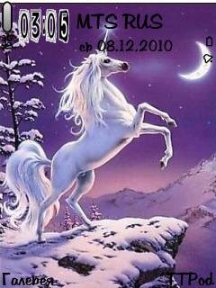 file_11475338